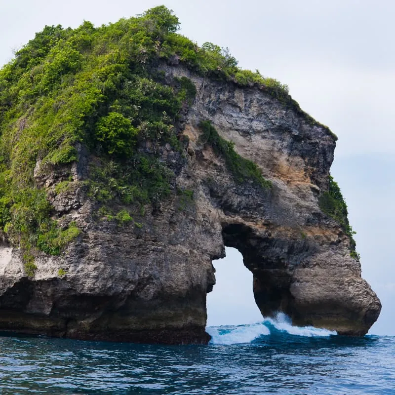 Nusa Penida Scuba Diving Bali - Gallery 1